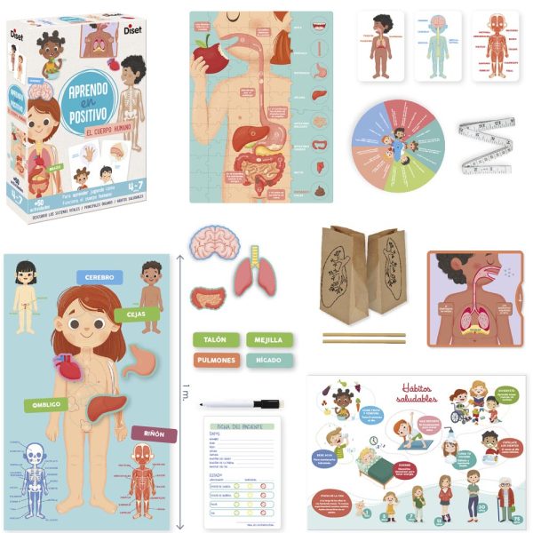 Juego Aprendo Positivo El Cuerpo Humano