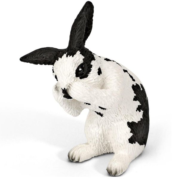 Animal Conejo Limpiándose