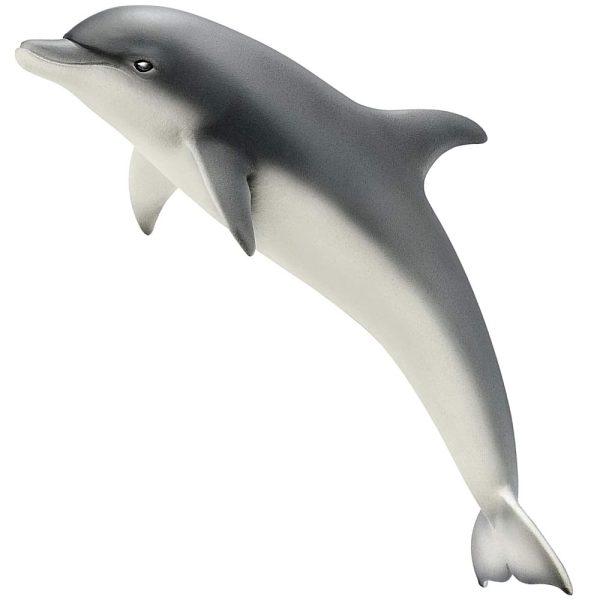 Animal Delfín